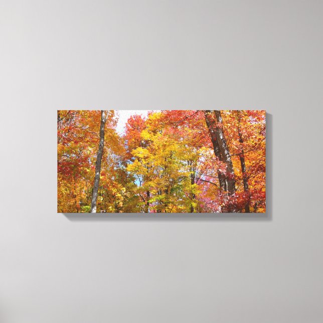 Orange and Yellow Fall Trees Autumn Photography Canvas Print (Front)