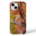 Orange and Yellow Fall Trees Autumn Photography iPhone 15 Case
