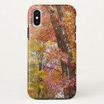 Orange and Yellow Fall Trees Autumn Photography iPhone X Case