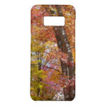 Orange and Yellow Fall Trees Autumn Photography Case-Mate Samsung Galaxy S8 Case