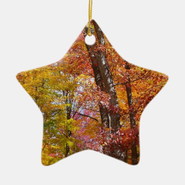 Orange and Yellow Fall Trees Autumn Photography Ceramic Ornament (Front)