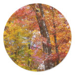 Orange and Yellow Fall Trees Autumn Photography Classic Round Sticker