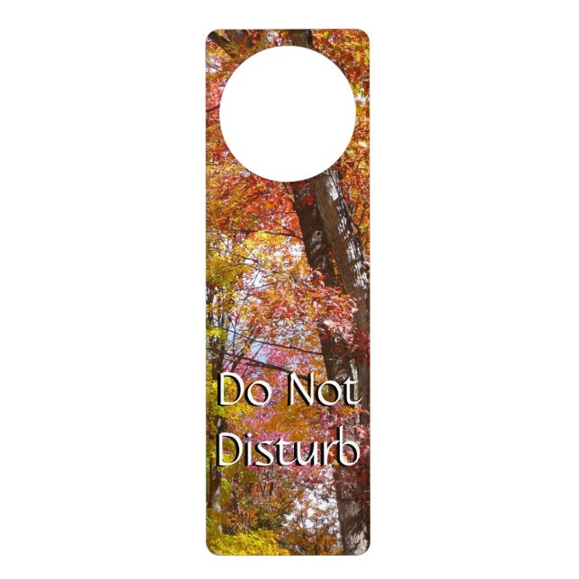 Orange and Yellow Fall Trees Autumn Photography Door Hanger (Front)