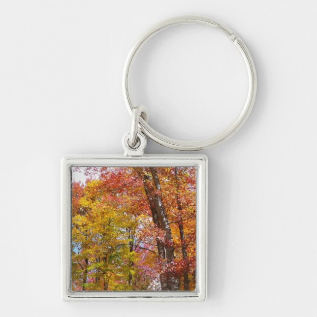 Orange and Yellow Fall Trees Autumn Photography Keychain (Front)