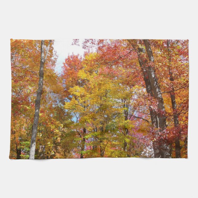 Orange and Yellow Fall Trees Autumn Photography Kitchen Towel (Horizontal)