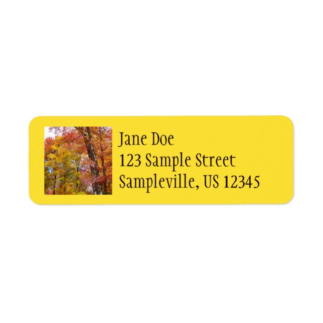 Orange and Yellow Fall Trees Autumn Photography Label (Front)