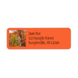 Orange and Yellow Fall Trees Autumn Photography Label