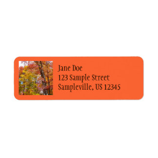 Orange and Yellow Fall Trees Autumn Photography Label