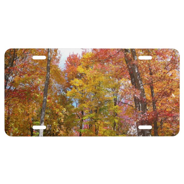 Orange and Yellow Fall Trees Autumn Photography License Plate (Front)