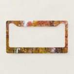 Orange and Yellow Fall Trees Autumn Photography License Plate Frame