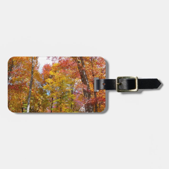 Orange and Yellow Fall Trees Autumn Photography Luggage Tag (Front Horizontal)