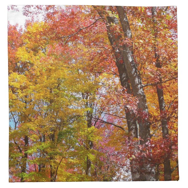 Orange and Yellow Fall Trees Autumn Photography Napkin (Front)