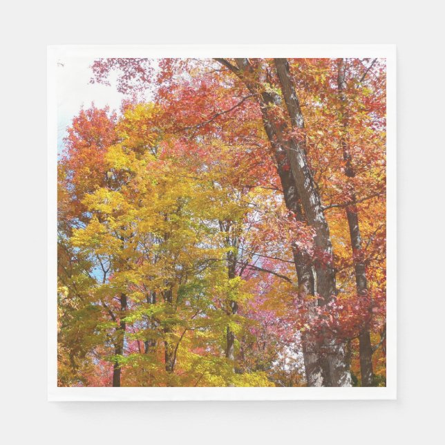 Orange and Yellow Fall Trees Autumn Photography Napkins (Front)
