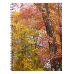 Orange and Yellow Fall Trees Autumn Photography Notebook