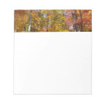 Orange and Yellow Fall Trees Autumn Photography Notepad