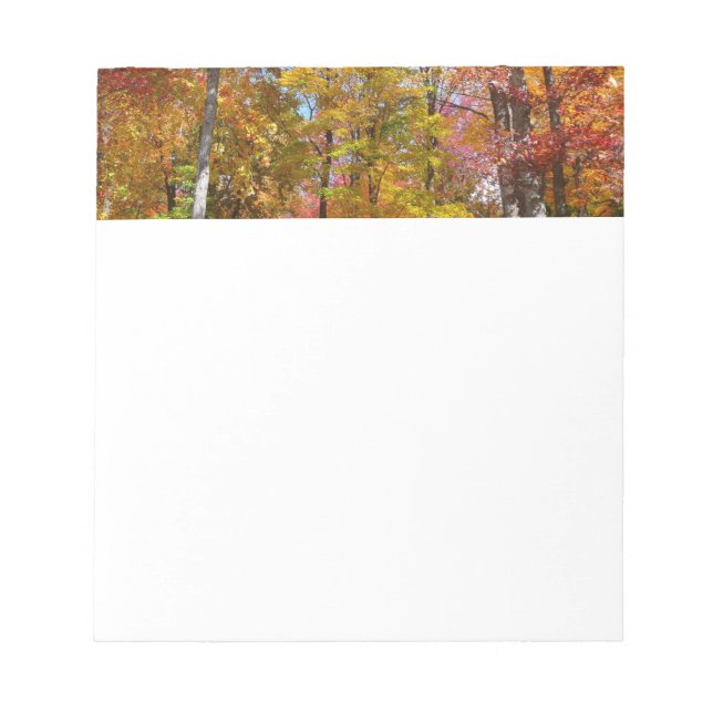 Orange and Yellow Fall Trees Autumn Photography Notepad (Front)
