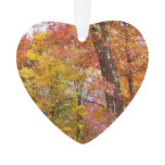 Orange and Yellow Fall Trees Autumn Photography Ornament