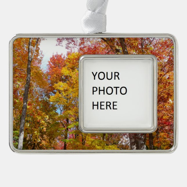 Orange and Yellow Fall Trees Autumn Photography Ornament (Front)