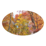 Orange and Yellow Fall Trees Autumn Photography Oval Sticker