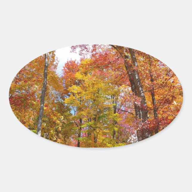 Orange and Yellow Fall Trees Autumn Photography Oval Sticker (Front)