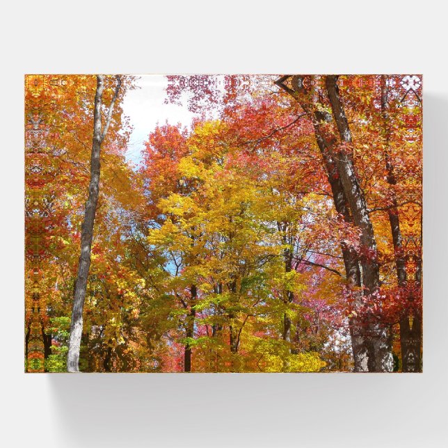 Orange and Yellow Fall Trees Autumn Photography Paperweight (Front)