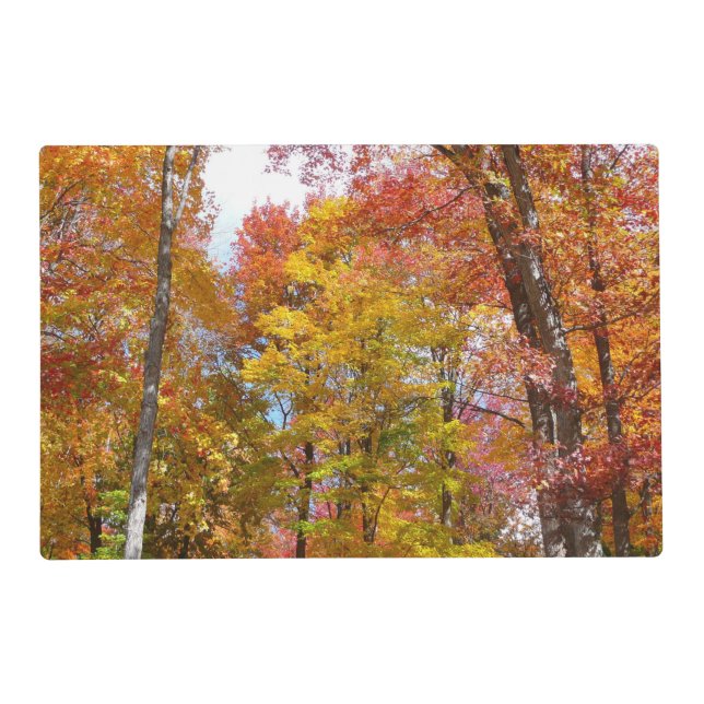 Orange and Yellow Fall Trees Autumn Photography Placemat (Front)