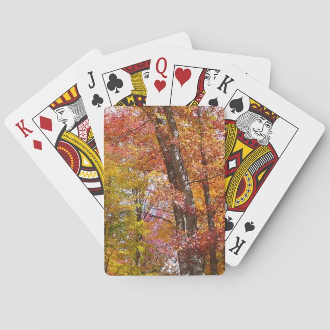 Orange and Yellow Fall Trees Autumn Photography Poker Cards (Back)