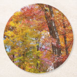 Orange and Yellow Fall Trees Autumn Photography Round Paper Coaster