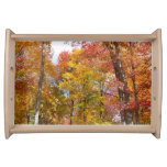Orange and Yellow Fall Trees Autumn Photography Serving Tray