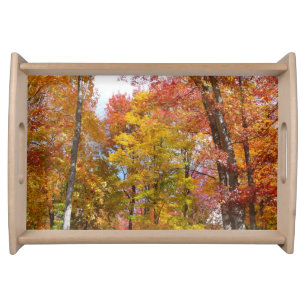 Orange and Yellow Fall Trees Autumn Photography Serving Tray