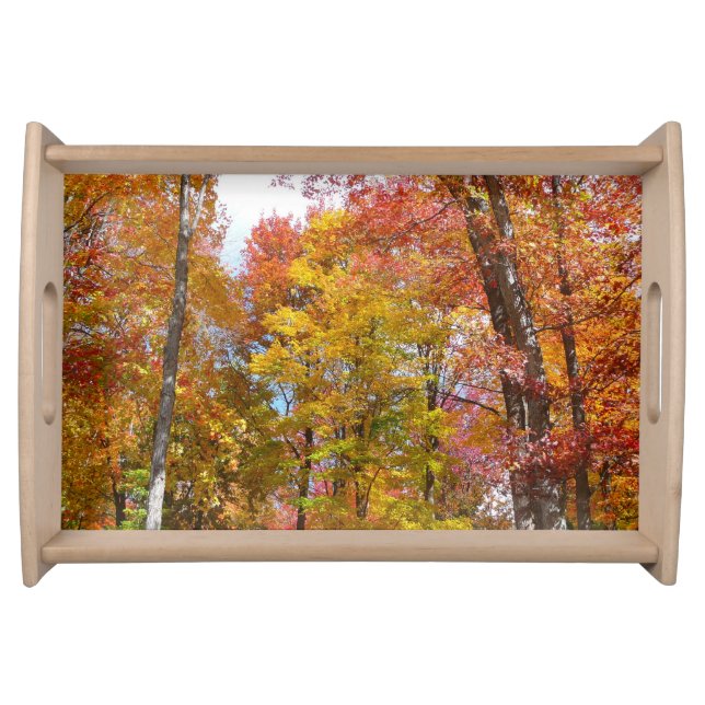Orange and Yellow Fall Trees Autumn Photography Serving Tray (Front)