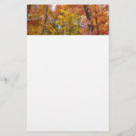 Orange and Yellow Fall Trees Autumn Photography Stationery