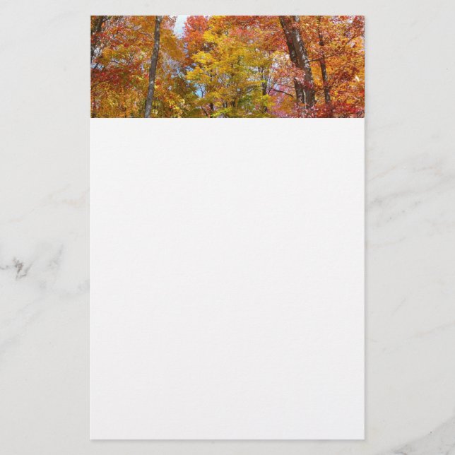 Orange and Yellow Fall Trees Autumn Photography Stationery (Front)