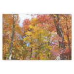 Orange and Yellow Fall Trees Autumn Photography Tissue Paper