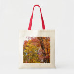 Orange and Yellow Fall Trees Autumn Photography Tote Bag