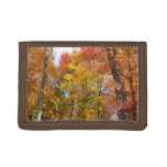 Orange and Yellow Fall Trees Autumn Photography Trifold Wallet