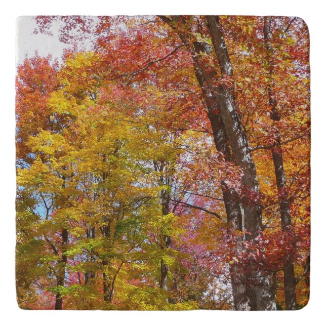 Orange and Yellow Fall Trees Autumn Photography Trivet (Front)