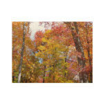 Orange and Yellow Fall Trees Autumn Photography Wood Poster