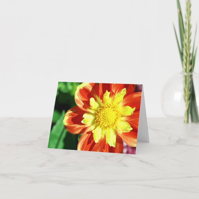 Orange and Yellow Flower Note Card (Front)
