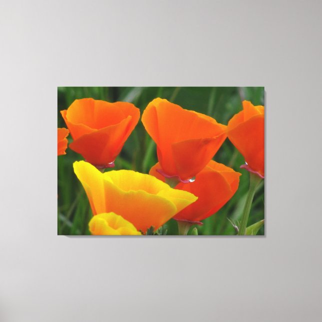 Orange And Yellow Flowers Canvas Print (Front)