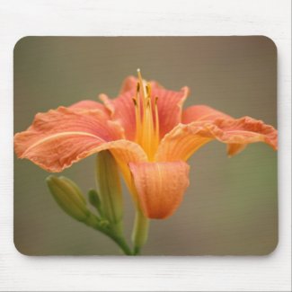 Orange Asian lily Mouse Pad