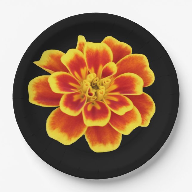 Orange Autumn Flower Rustic Fall Wedding Floral Paper Plates (Front)