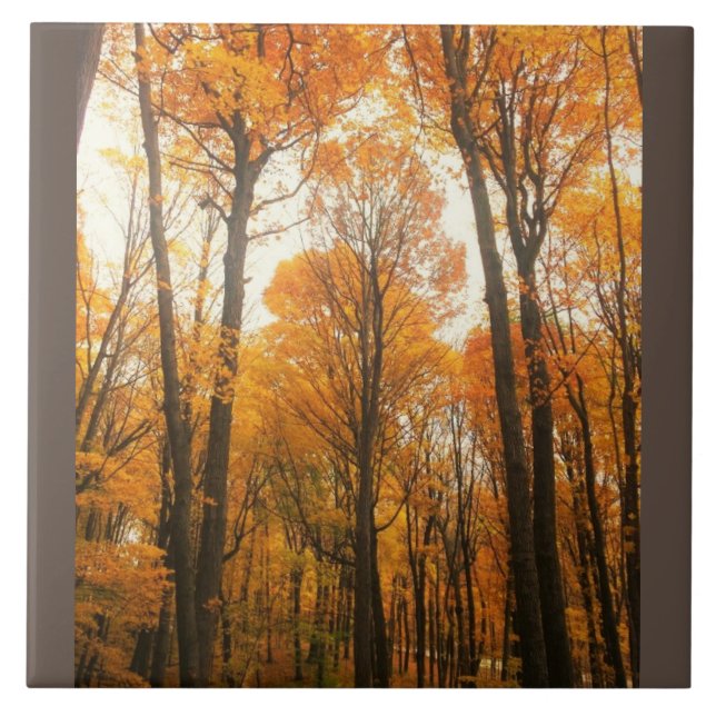 Orange Autumn Forest Ceramic Tile (Front)