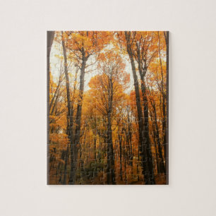 Orange Autumn Forest Jigsaw Puzzle