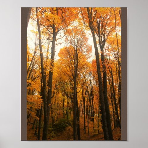 Orange Autumn Forest Poster