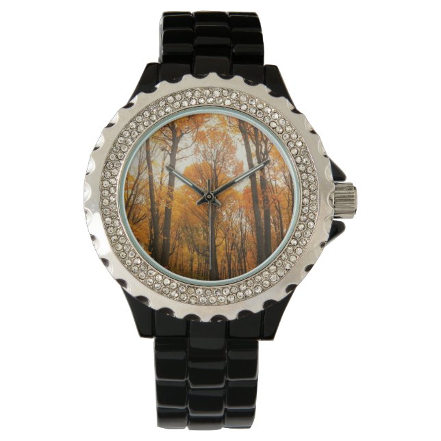 Orange Autumn Forest Watch (Front)