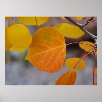Orange Autumn Leaf Poster by ChristyWyoming at Zazzle