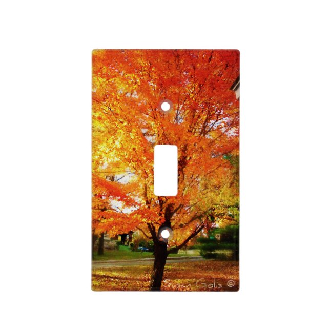 Orange Autumn Leaves Light Switch Cover (Front)