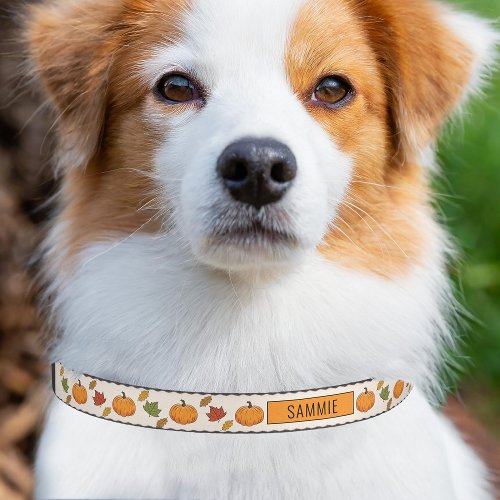 Orange Autumn Pumpkins And Colorful Fall Leaves Pet Collar