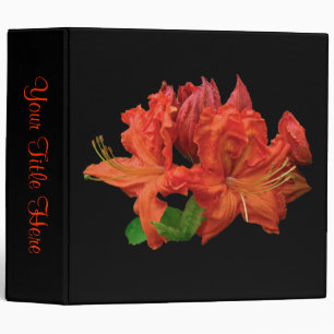 Orange Azalea Blossoms 3 Ring Binder